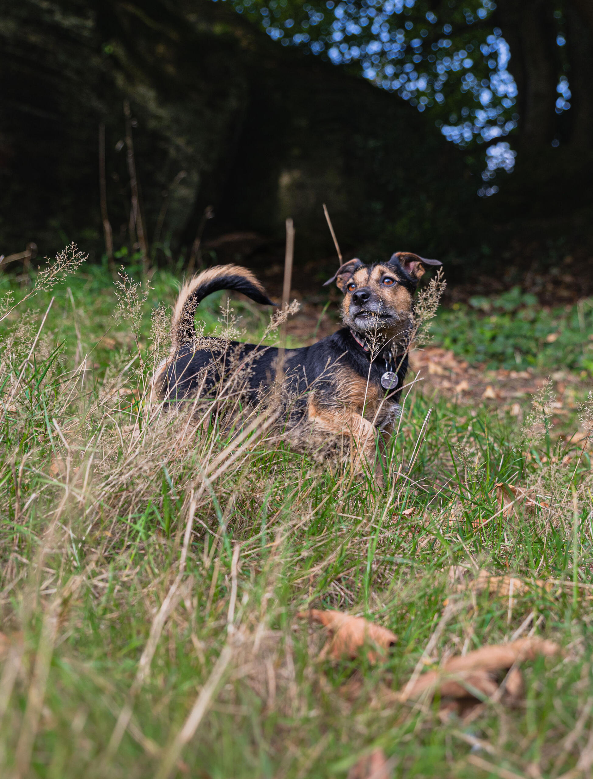 Photo by Jamie Street on Unsplash